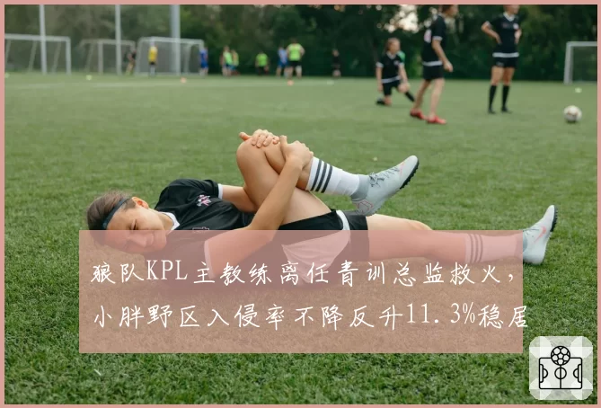 狼队KPL主教练离任青训总监救火，小胖野区入侵率不降反升11.3%稳居对抗路第一