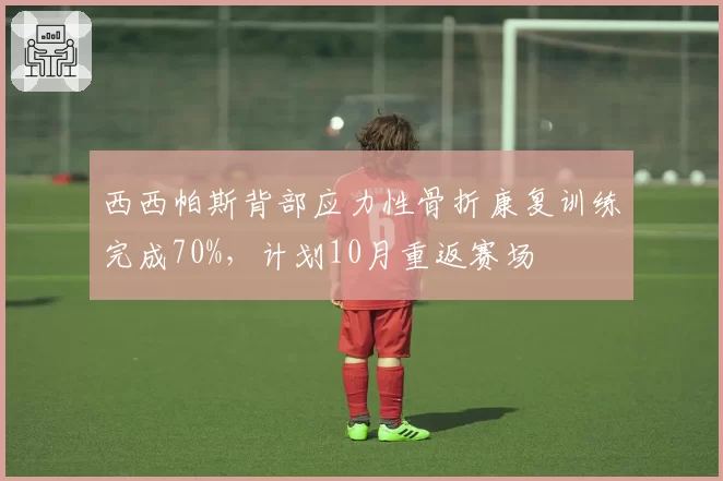 西西帕斯背部应力性骨折康复训练完成70%，计划10月重返赛场